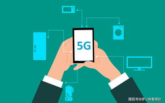 缝补未来的破网——从浪潮到高原，当代年轻人的进化之路