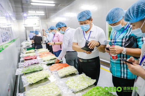 德保集团荣膺“校园餐优秀服务商”称号，创新外卖递送服务引领行业标准